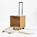 Artificial Rattan Wicker Travel Breathable Capsule Pet Carrier Bag Trolley Suitcase Portable Cat Dog Universal Case